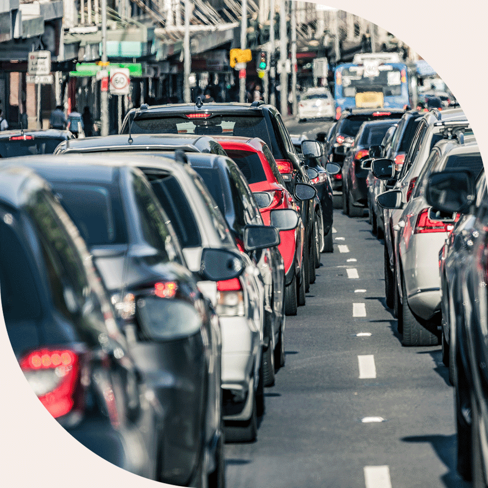 Programme Marguerite Lyon